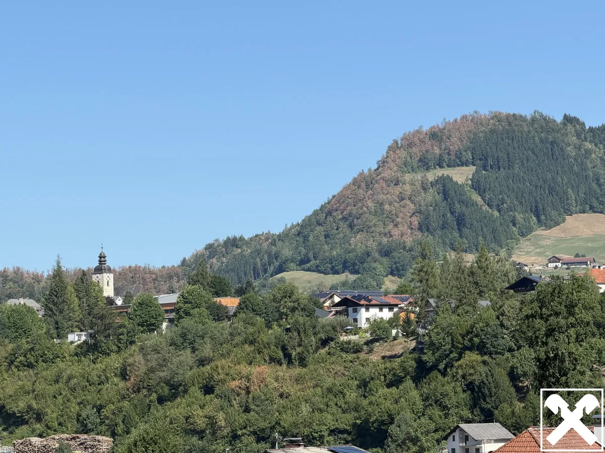 Haus – Großraming - Ansicht 2