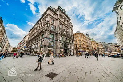 8-Zimmer-Gewerbeimmobilie mieten in Wien – 190 m², € 5.950 – Bild 2 von 26