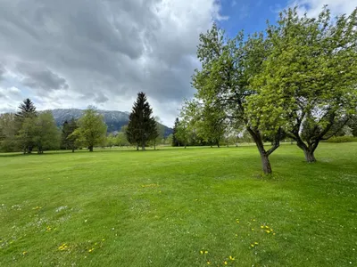 Grundstück kaufen in Liezen – 66 000 m², € 333.000 – Bild 4 von 11