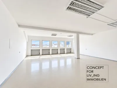 4-Zimmer-Gewerbeimmobilie mieten in Wien – 250 m² – Bild 5 von 17