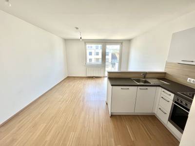2 Zimmer Wohnung mit Balkon- Nähe U6 Floridsdorf & Alte Donau in 1210 Wien zu mieten – Bild 3