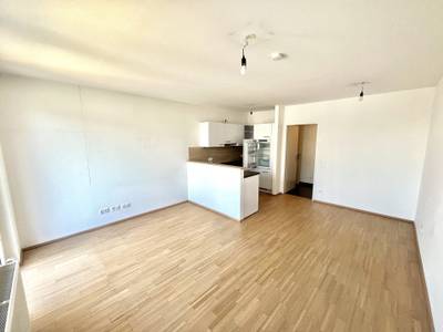 2 Zimmer Wohnung mit Balkon- Nähe U6 Floridsdorf & Alte Donau in 1210 Wien zu mieten – Bild 2