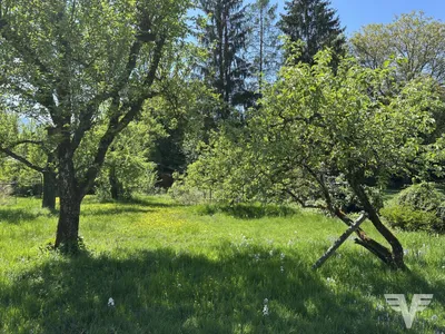 Grundstück kaufen in Salzburg Stadt – 1 539 m² – Bild 2 von 3
