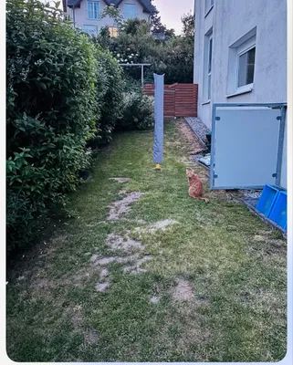 3-Zimmer-Wohnung mieten in Sankt Pölten Land – 74 m², € 878 – Bild 6 von 7
