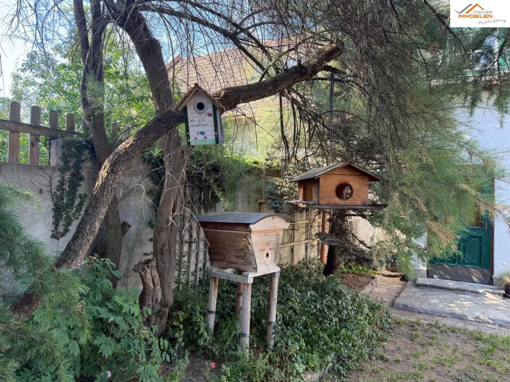 Wohnen in ruhiger Lage - Familienhaus mit Garten und Potenzial - Widok 2