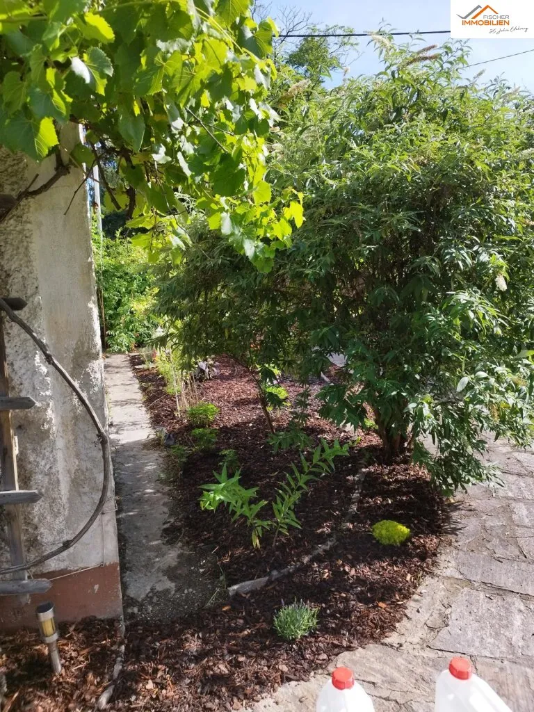 Wohnen in ruhiger Lage - Familienhaus mit Garten und Potenzial - Widok 3