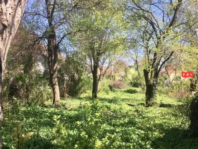 Grundstück kaufen in Wien – 500 m², € 390.000 – Bild 8 von 10