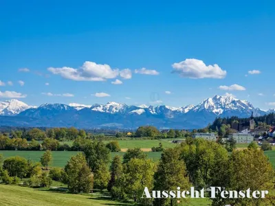 5-Zimmer-Haus kaufen in Wels-Land – 130 m², € 449.000 – Bild 5 von 6