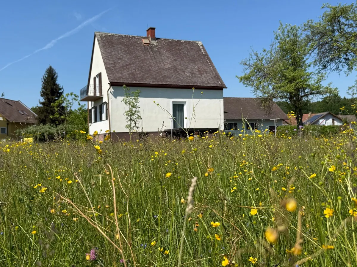 Privatverkauf: Ihr eigenes Stück Südoststeiermark - Landhaus mit Garten, Obstbäumen und viel Potenzial - Widok 3