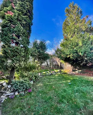 Haus kaufen in Tulln – 31 m², € 189.000 – Bild 14 von 15