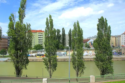 3-Zimmer-Wohnung mieten in Wien – 80 m², € 1.550 – Bild 9 von 10