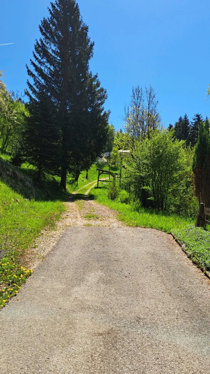 Haus – Bad Goisern - Ansicht 3