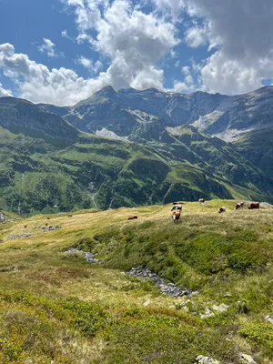 2-Zimmer-Wohnung mieten in Sankt Johann im Pongau – 46 m², € 1.200 – Bild 20 von 20