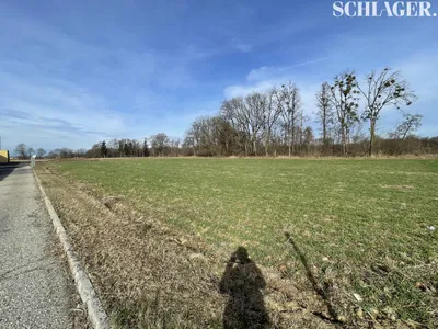 Gewerbeimmobilie kaufen in Südoststeiermark – 6 425 m², € 1.900.000 – Bild 4 von 8