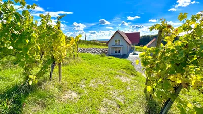 3-Zimmer-Wohnung kaufen in Südoststeiermark – 74,92 m², € 299.000 – Bild 20 von 27
