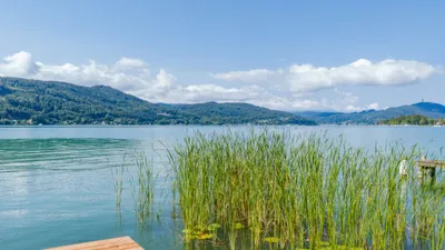 5-Zimmer-Immobilie kaufen in Klagenfurt Land – 232 m², € 3.650.000 – Bild 5 von 18