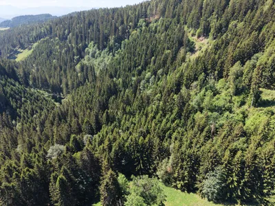 Grundstück kaufen in Sankt Veit an der Glan – 192 514 m², € 680.000 – Bild 15 von 19