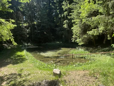 Grundstück kaufen in Sankt Veit an der Glan – 192 514 m², € 680.000 – Bild 3 von 19