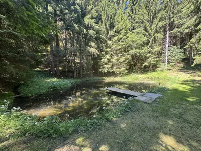 Grundstück kaufen in Sankt Veit an der Glan – 192 514 m², € 680.000 – Bild 4 von 19