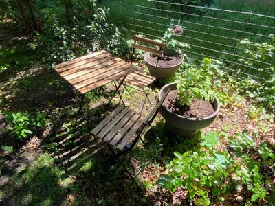 CHARMANTE GARTENWOHNUNG 1180, Miniloftartig, TOP GESCHNITTEN, hell – Bild 3