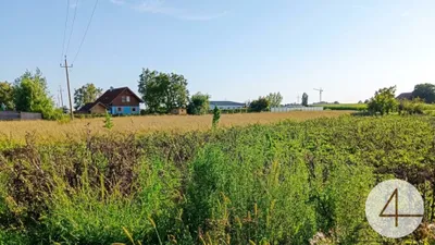 3-Zimmer-Haus kaufen in Schärding – 135 m², € 450.000 – Bild 3 von 4