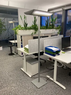 Gewerbeimmobilie mieten in Wien – 1 016 m², € 20 – Bild 4 von 16