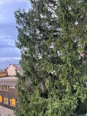 3-Zimmer-Wohnung kaufen in Wien – 92 m², € 649.000 – Bild 24 von 24