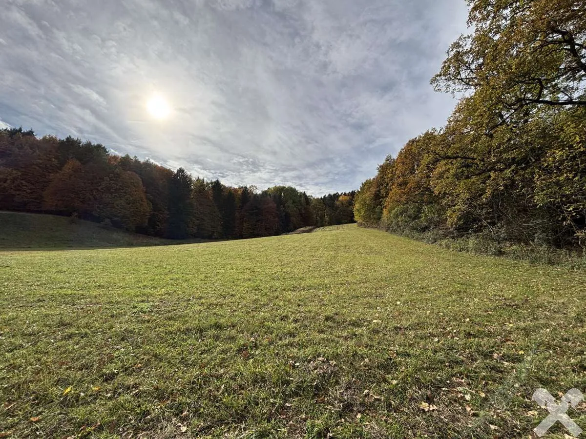 Landwirtschaftliche Fläche in Bad Waltersdorf - Görünüm 2