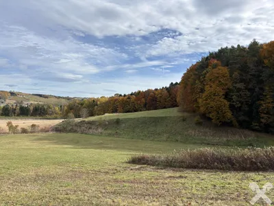 Grundstück kaufen in Hartberg-Fürstenfeld – 27 442 m², € 95.000 – Bild 5 von 8