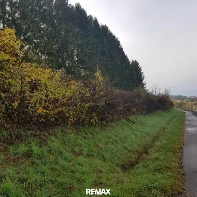 Grundstück kaufen in Güssing – 1 750 m², € 46.000 – Bild 5 von 7