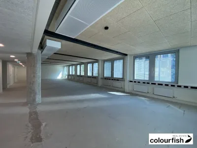 Gewerbeimmobilie mieten in Wien – 265 m², € 4.299 – Bild 5 von 8