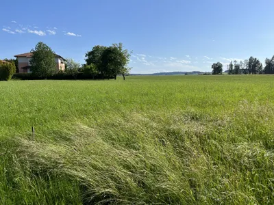 Grundstück kaufen in Ried im Innkreis – 925 m²