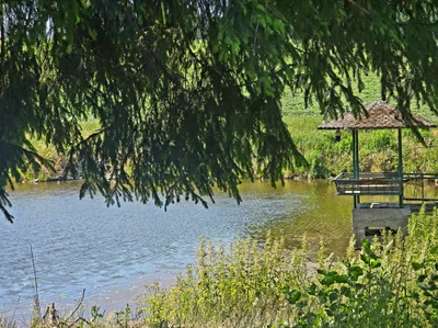 Grundstück kaufen in Krems Land – 7 741 m², € 170.000 – Bild 4 von 6