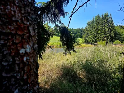 Grundstück kaufen in Krems Land – 7 741 m², € 170.000 – Bild 2 von 6