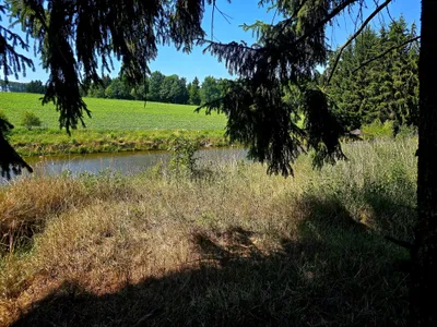 Grundstück kaufen in Krems Land – 7 741 m², € 170.000 – Bild 3 von 6