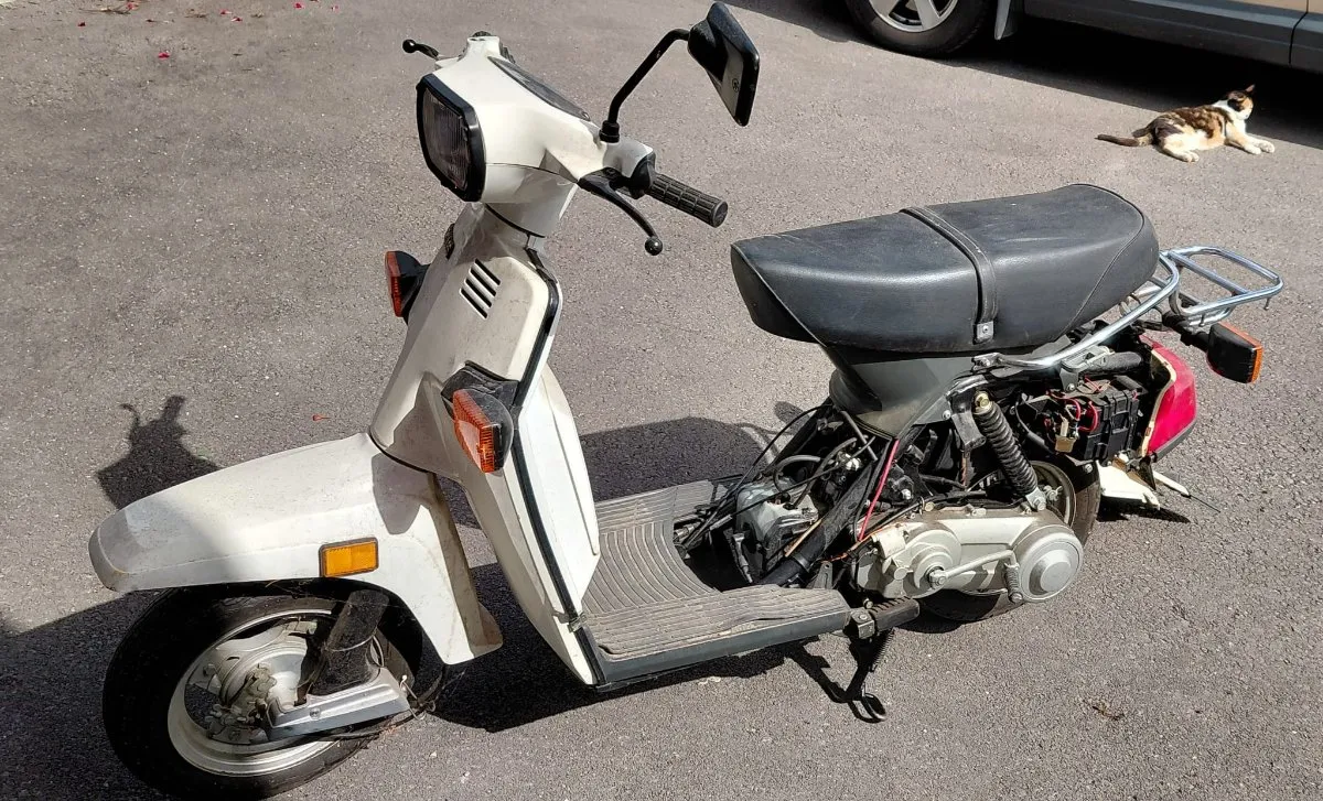 Hercules Hercules Sachs VB 50 Roller / Scooter - willhaben