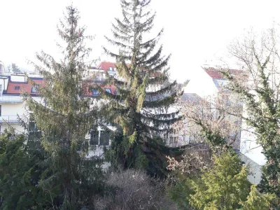 2-Zimmer-Wohnung mieten in Wien – 54,25 m², € 900 – Bild 6 von 13
