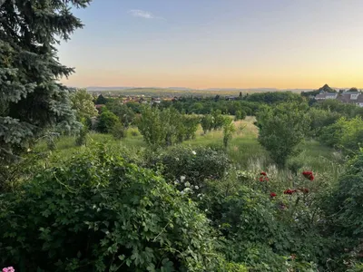 6-Zimmer-Haus kaufen in Krems Land – 190 m², € 590.000 – Bild 18 von 18