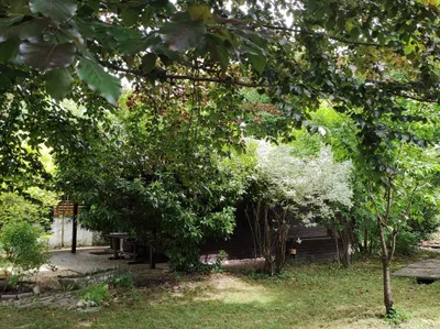 Grundstück kaufen in Rohrbach – 744 m², € 128.000 – Bild 7 von 11