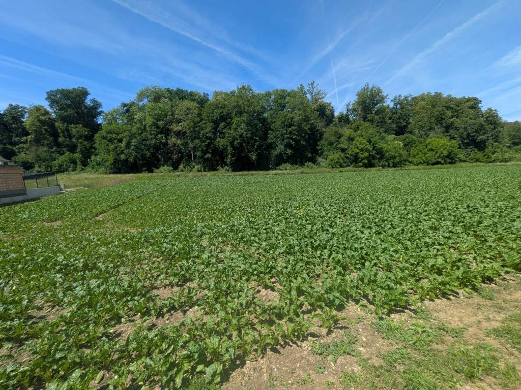 Baugrund in Enns - 650 m², ruhig, naturnah & voll aufgeschlossen - kein Bauzwang, Enns