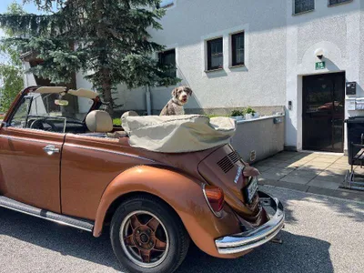 4-Zimmer-Wohnung kaufen in Bruck-Mürzzuschlag – 82 m², € 140.000 – Bild 18 von 20