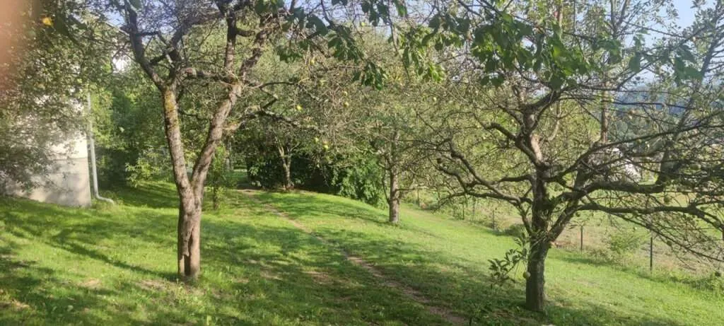 Sonniges Baugrundstück in Moosburg, Kärnten - 877 m² für Ihre Wohnträume! – pohled 2