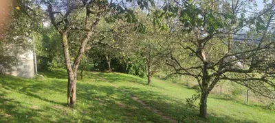 Grundstück kaufen in Klagenfurt Land – 877 m², € 125.000 – Bild 2 von 10