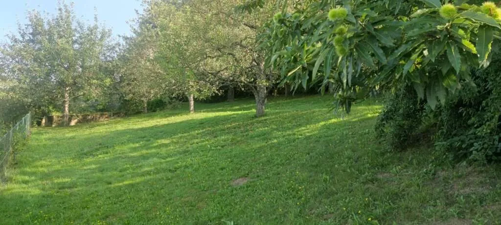 Sonniges Baugrundstück in Moosburg, Kärnten - 877 m² für Ihre Wohnträume! – pohled 3