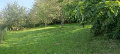 Grundstück kaufen in Klagenfurt Land – 877 m², € 125.000 – Bild 3 von 10
