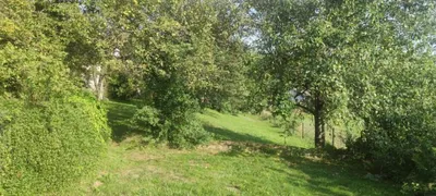 Grundstück kaufen in Klagenfurt Land – 877 m², € 125.000 – Bild 5 von 10
