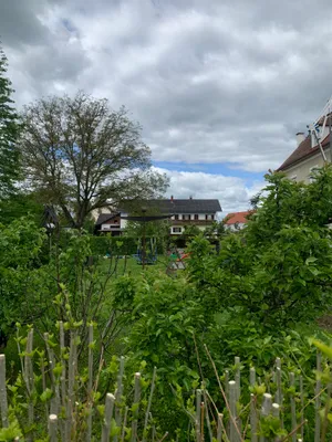 2-Zimmer-Wohnung mieten in Hartberg-Fürstenfeld – 56 m², € 409 – Bild 19 von 21