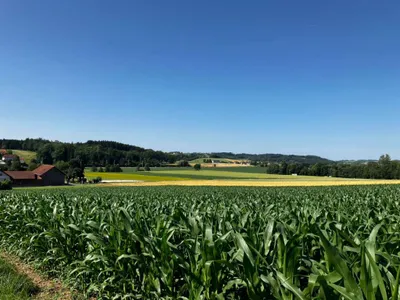 Grundstück kaufen in Grieskirchen – 883 m², € 60.000 – Bild 4 von 5