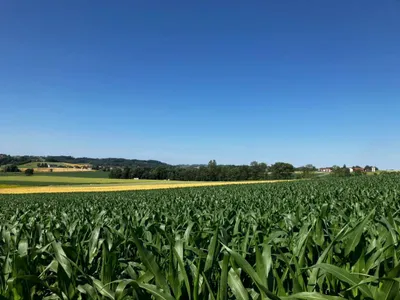 Grundstück kaufen in Grieskirchen – 883 m², € 60.000 – Bild 5 von 5