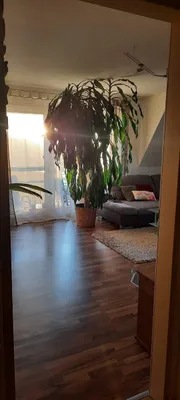 3-Zimmer-Wohnung mieten in Mattersburg – 83 m², € 870 – Bild 9 von 9
